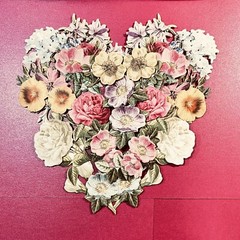 Anna Griffin’s Latest Bday Celebrations 3D Stickers 36 PCS of Flowers & Layers