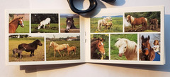 HORSE PUZZLES 1 VINTAGE 1993 RARE STICKER BOOKLET COLLECTOR’S ITEM 90s ANIMALS