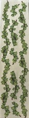 GREEN IVY BORDER Stickers (7pc)Climbing•Plant•Garden •Leaves•Outside•Card Making