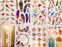 559+ Sticker Pk animals butterfly cats kittens dinosaurs flowers plants birds