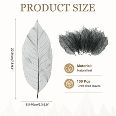 100 Pcs Skeleton Leaves for Scrapbook, 3.3-3.9 Inch, Black