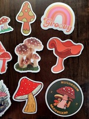 STICKERS x 10 Mushrooms Positive Reminder Be Happy Mushroom Groovy Sticker FEBF8