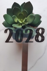 2024 or 2025 Year Clear Vinyl Sticker