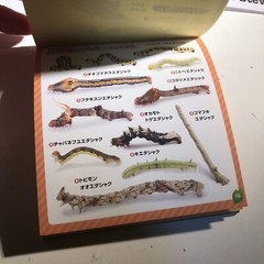 Japanese Caterpillar Stickers book 250 Stickers Shogakkan NEO