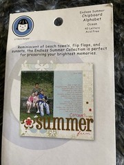 Lil Davis Design~Endless Summer Chipboard Alphabet Ocean Alpha Letter Scrapbook