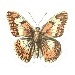 Vintage Butterfly Themed Waterproof Stickers Lot of 13