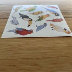 10 Sticker Sheets Unique Colourful Australian Birds Wildlife multicoloured