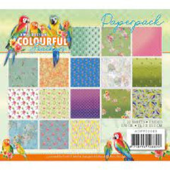 FIND IT MEDIA 6 X 6 – COLOURFUL FEATHERS PAPER – 3 PKGS