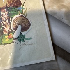 Vintage 1971 traditional Mushroom Transfer Rub On Stickers decal only 1 image