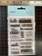 New Spellbinders clear Rubber Stamp CAPTURED SENTIMENTS set free USA ship