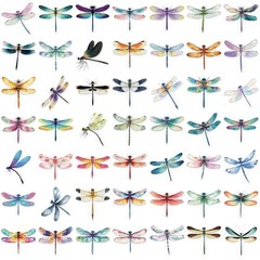 50 Pcs Dragonfly Stickers for Scrapbooking, PET Transparent Decorative Stickers