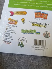 Scripture Stickers DOCTRINE & COVENANTS Becky Higgins Sealed 52 Week Study Kids