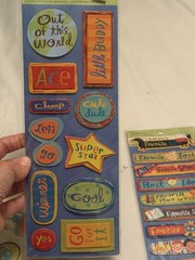 Vintage Scrapbook Sticker Lot K&Company Dimensional Zoo Amusement Park Boys NOS