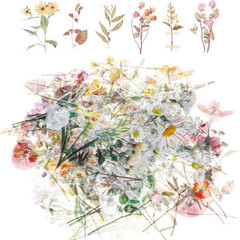 120 Pcs Transparent Flower Stickers for Scrapbooking PET Nature Plant Floral