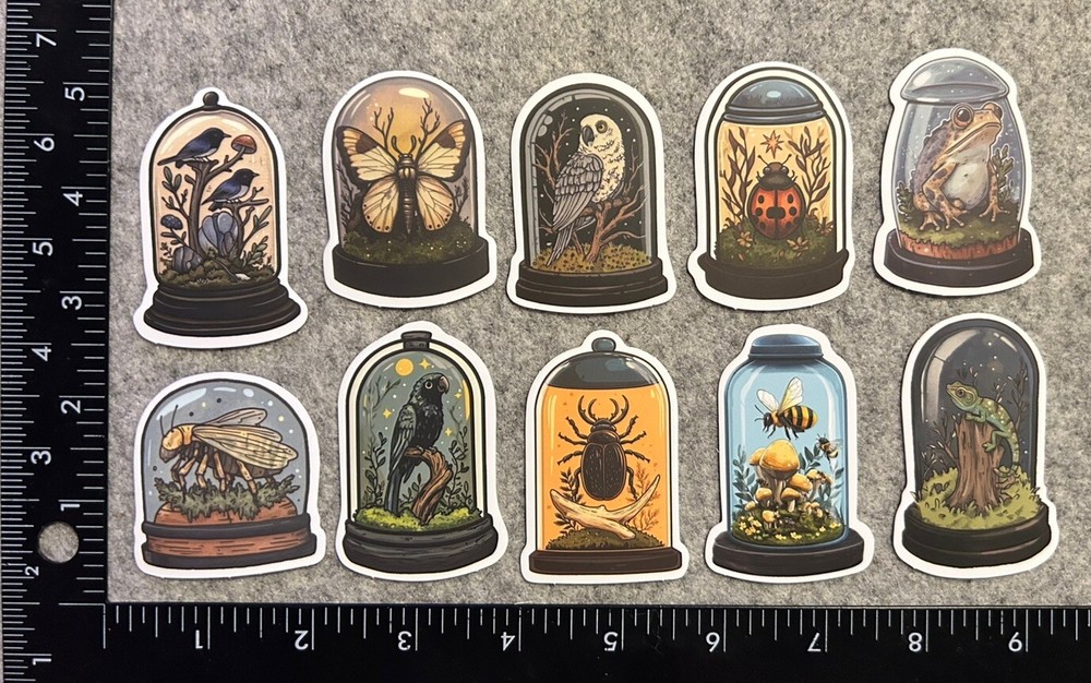 Lot of 10 Assorted Specimen Jar Skull Skeleton Animal Mushroom Stickers