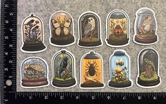 Lot of 10 Assorted Specimen Jar Skull Skeleton Animal Mushroom Stickers