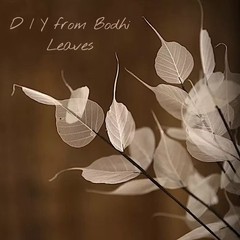 500x Natural Skeleton Bodhi Leaves Dried Craft DIY Card Wedding Art Decor 2-6″