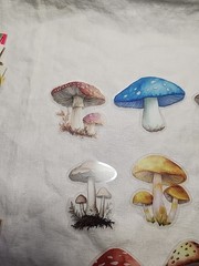 Mushroom Assorted Lot Of Ephemera For Junk Journaling Or Paper Crafting