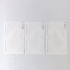 Lot of 3 Mrs. Grossman’s Vellum Collection Green Giant Velum Ferns Stickers