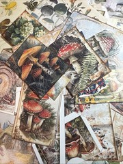 200+ cottage core mystical forest kit Lot Junk Journal Ephemera