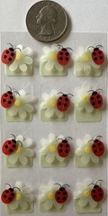 VELLUM LADYBUG & FLOWER PHOTO CORNER Dimensional Stickers(12pc)Bugs•Card Making