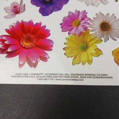 Vintage Photo Floral Stickers by Current 73833 6×9″ New