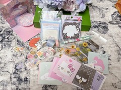 Surprise Bag/Junk Journaling Mystery Bag/ Stationary Grab Bag/Memo Sheet Sticker