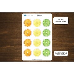 Citrus Sticker Sheet | Oranges, Lemons, and Limes | Planner and Journal Stickers