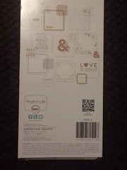 Project Life 90pc Vellum Cards Sheer Metallic Transparent Scrapbook Becky Higgin
