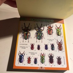 Beetle and Stag Beetle Japanese Stickers book 275 Stickers Shogakkan Neo