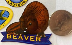 NEW YORK Stickers(11pc)Sticko•Beaver •Maple•State•Rose•Ladybug•Shell•Vacation