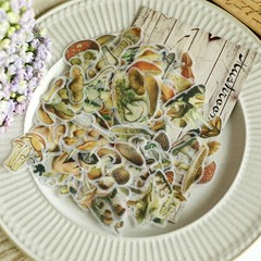100 pcs Small Mushroom Translucent Vellum Matte Surface Paper Sticker Scrapbook