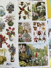 Violette Sticker Club 18 Sheets Pro Pack Sticker Sheets Butterflies Flowers