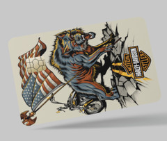MOTORCYCLE , 2 pc credit card skin & DEBIT CARD,TROLLEY & GYM