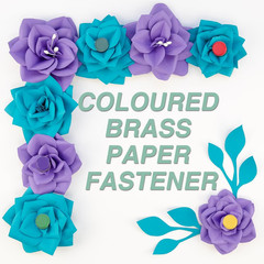 300 PCS Brass Paper Fasteners, round Metal Paper Fasteners Mini Brads for DIY