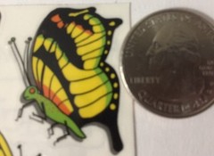 BUTTERFLIES Stickers(8pc)Frances Meyer•Colorful•Nature•Insect •Memories•Bug•Fly•