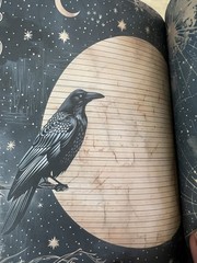 Romantic Universe Moon Stars Witchy Scrapbook Journal Paper Book Pet Stickers