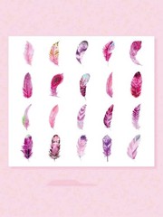 20Pcs Mixed 3D pattern Feathers Scrapbooking Stickers Decorative Feather Decals