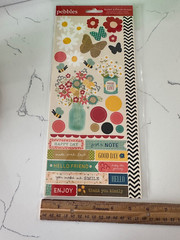 Pebbles Accent & Phrase Stickers Flowers Butterflies Enjoy Hello Scrapbooking