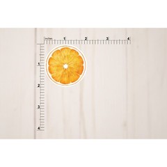 Orange, Lime, and Lemon Stickers | Die Cut, Glossy, Vinyl | Citrus Stickers
