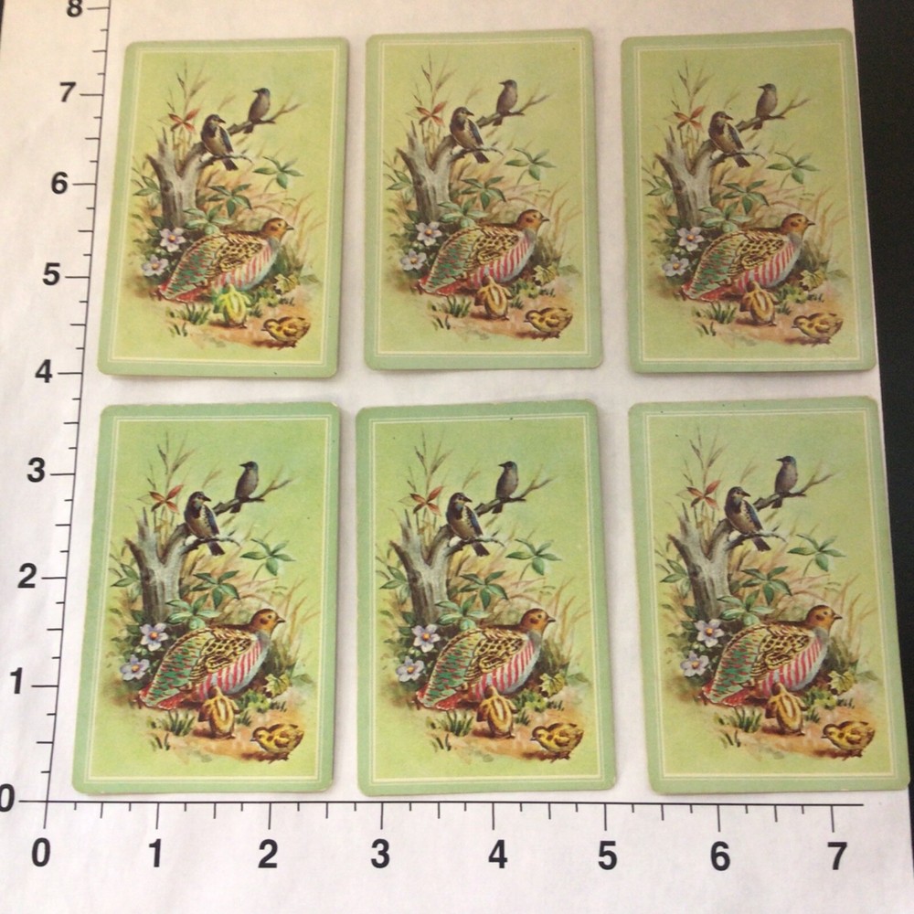 Bird Swap/Junk Journal Playing Cards Lot of 6 Cards