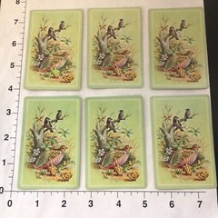 Bird Swap/Junk Journal Playing Cards Lot of 6 Cards