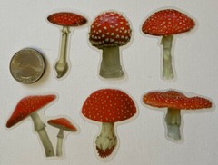 RED/WHITE MUSHROOM Mylar Stickers(6pc)Fungus•Dark•Garden •Toadstool•Spores•Grow•