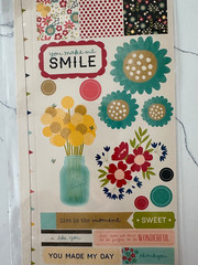 Pebbles Accent & Phrase Stickers Flowers Butterflies Enjoy Hello Scrapbooking