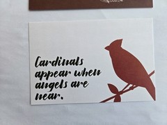 Creative Memories Set Of 3 Cardinal Birds Reversible Paper Photo Mats 4″ X 6″