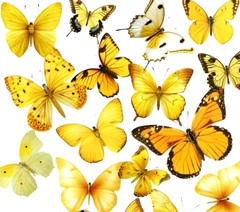 BEAUTIFUL VINYL BUTTERFLY STICKERS 7 7/8″X 5.75″ SHEET #1-R YELLOW Fast Shipping