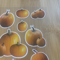 Pumpkin Stickers Realistic Halloween Thanksgiving Fall Autumn Clear Sheet Vtg