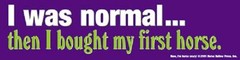 I was normal then I bought my first horse Bumper Sticker
