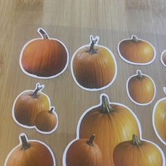 Pumpkin Stickers Realistic Halloween Thanksgiving Fall Autumn Clear Sheet Vtg