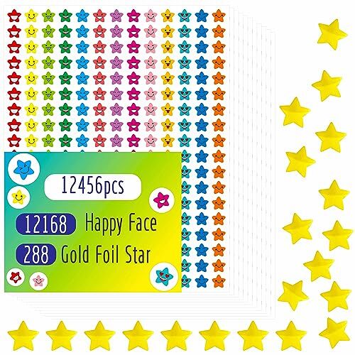 12456 Pcs Star Stickers, More Than 12100 Happy Face & 288 Star Happy Face – A